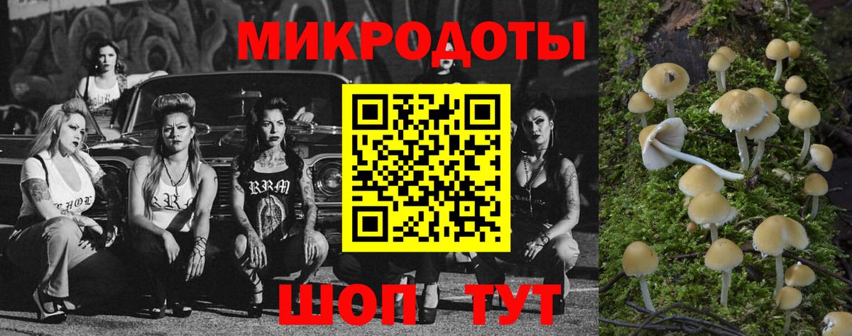 Берёзовский  Галлюциногенные грибы Psilocybine cubensis  Вход с VPN 